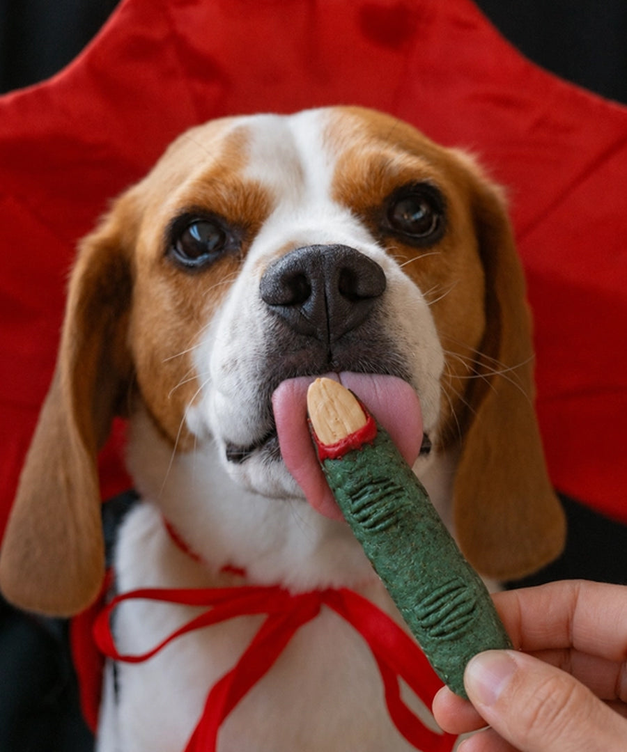 Cookas-Cookies-Friandises-naturelles-saines-chien-chiot-Witch-Fingers