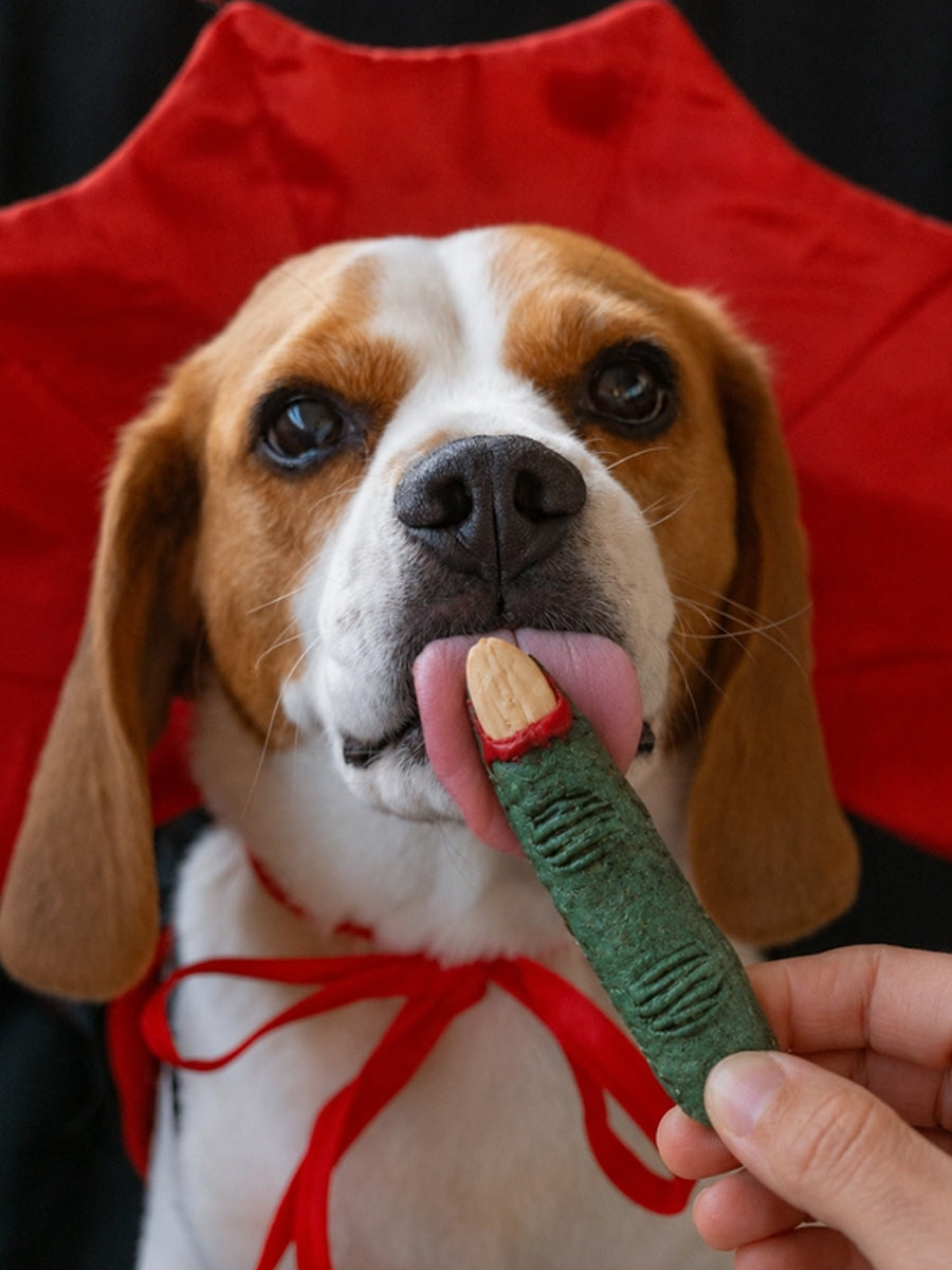 Cookas-Cookies-Friandises-naturelles-saines-chien-chiot-Witch-Fingers