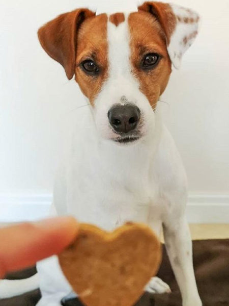       Cookas-Cookies-Friandises-naturelles-saines-chien-chiot-chicken-love-poulet