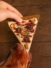 Cookas-Cookies-Friandises-naturelles-saines-chien-chiot-doggie-pizza