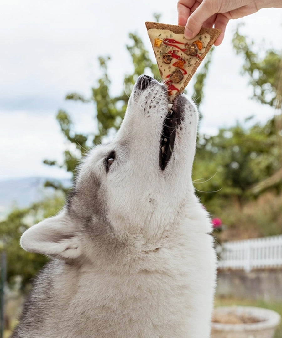 Cookas-Cookies-Friandises-naturelles-saines-chien-chiot-doggie-pizza