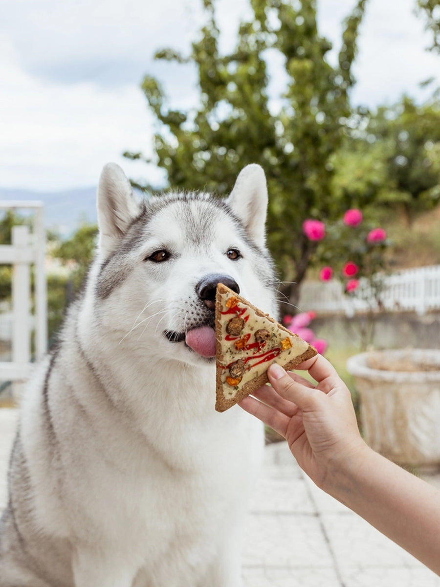 Cookas-Cookies-Friandises-naturelles-saines-chien-chiot-doggie-pizza