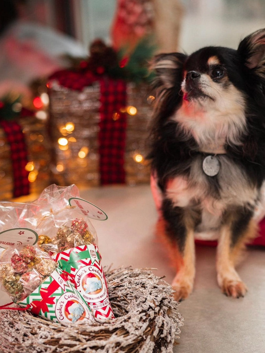 Cookas-Cookies-Friandises-nole-pour-chien-chiot-Christmas_Balls-2025