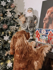 Cookas-Cookies-calendrier-avent-pour-chien-chiot-2025