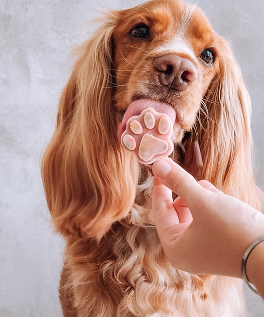Cookas-Cookies-kit-preparation-glace-chien-naturel