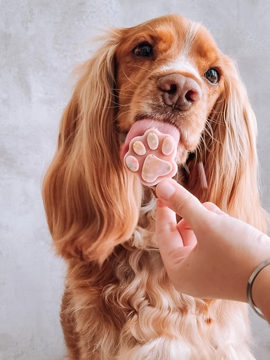 Cookas-Cookies-kit-preparation-glace-chien-naturel