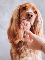 Cookas-Cookies-kit-preparation-glace-chien-naturel