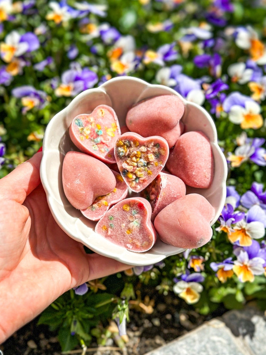 Cookas-Cookies-kit-preparation-glace-chien-naturel