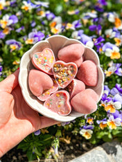 Cookas-Cookies-kit-preparation-glace-chien-naturel