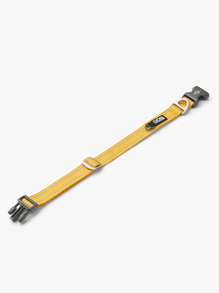 DOG-Copenhagen-collier-pour-chien-resistant-Urban-Style-Collar-jaune