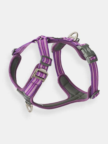 DOG-Copenhagen-harnais-pour-chien-resistant-comfort-walk-air-3.0-violet