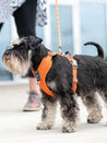 DOG-Copenhagen-harnais-pour-chien-resistant-comfort-walk-pro-3.0-orange