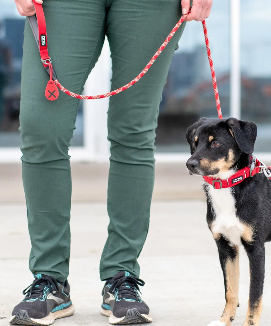 DOG-Copenhagen-laisse-en-corde-pour-chien-resistant-rouge
