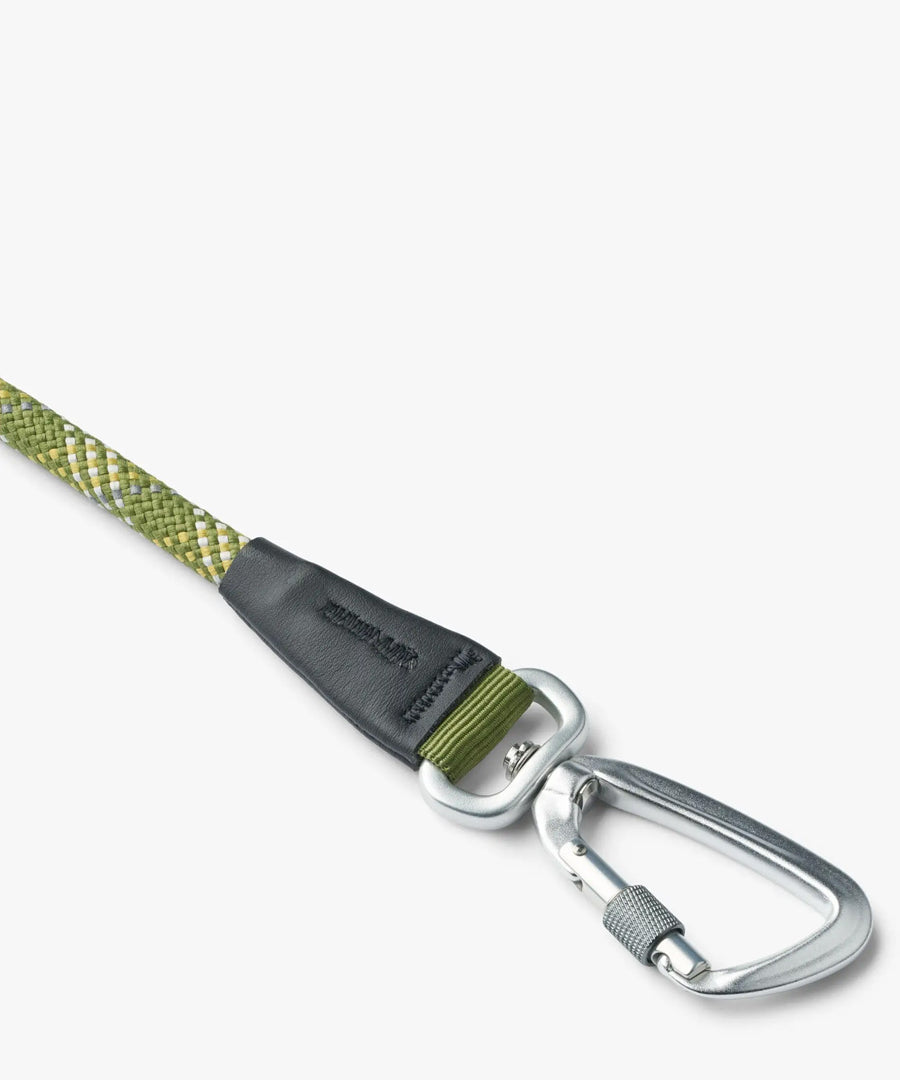 DOG-Copenhagen-laisse-en-corde-pour-chien-resistant-vert