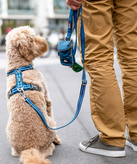 DOG-Copenhagen-laisse-pour-chien-resistante-Urban-Freestyle-leash-bleu