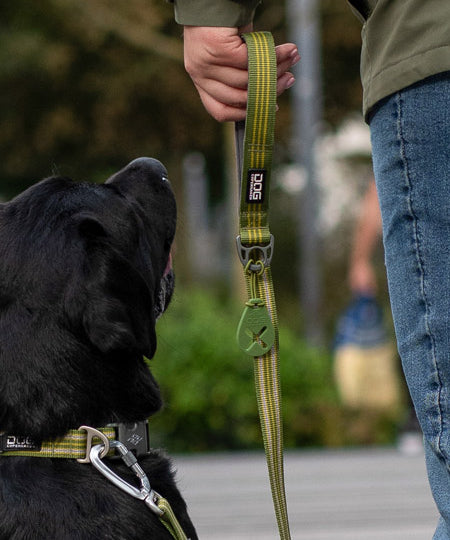 DOG-Copenhagen-laisse-pour-chien-resistante-Urban-Freestyle-leash-vert