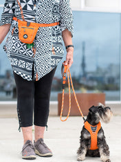 DOG-Copenhagen-sac-a-friandises-pour-chien-go-explorer-treat-bag-orange