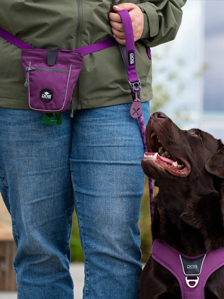 DOG-Copenhagen-sac-a-friandises-pour-chien-go-explorer-treat-bag-violet