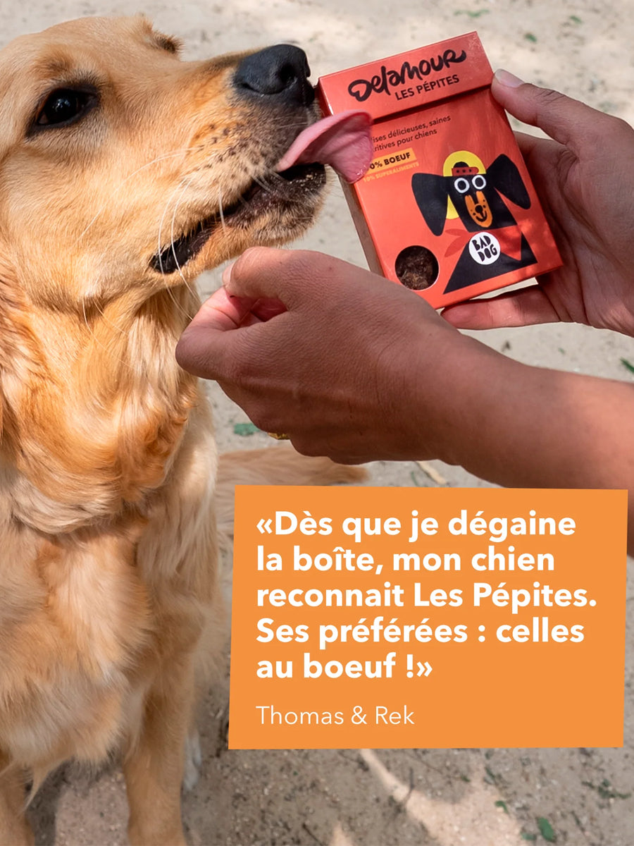 Delamour-friandise-premium-pour-chien-les-pepittes-boeuf