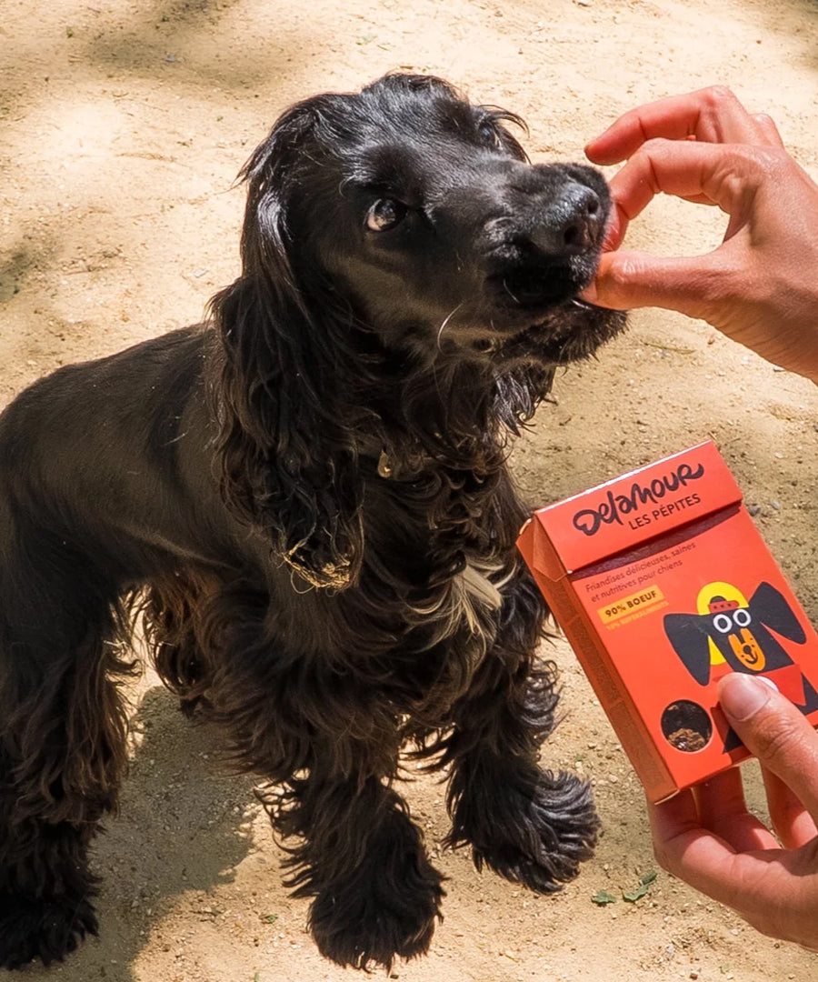 Delamour-friandise-premium-pour-chien-les-pepittes-boeuf