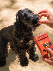 Delamour-friandise-premium-pour-chien-les-pepittes-boeuf