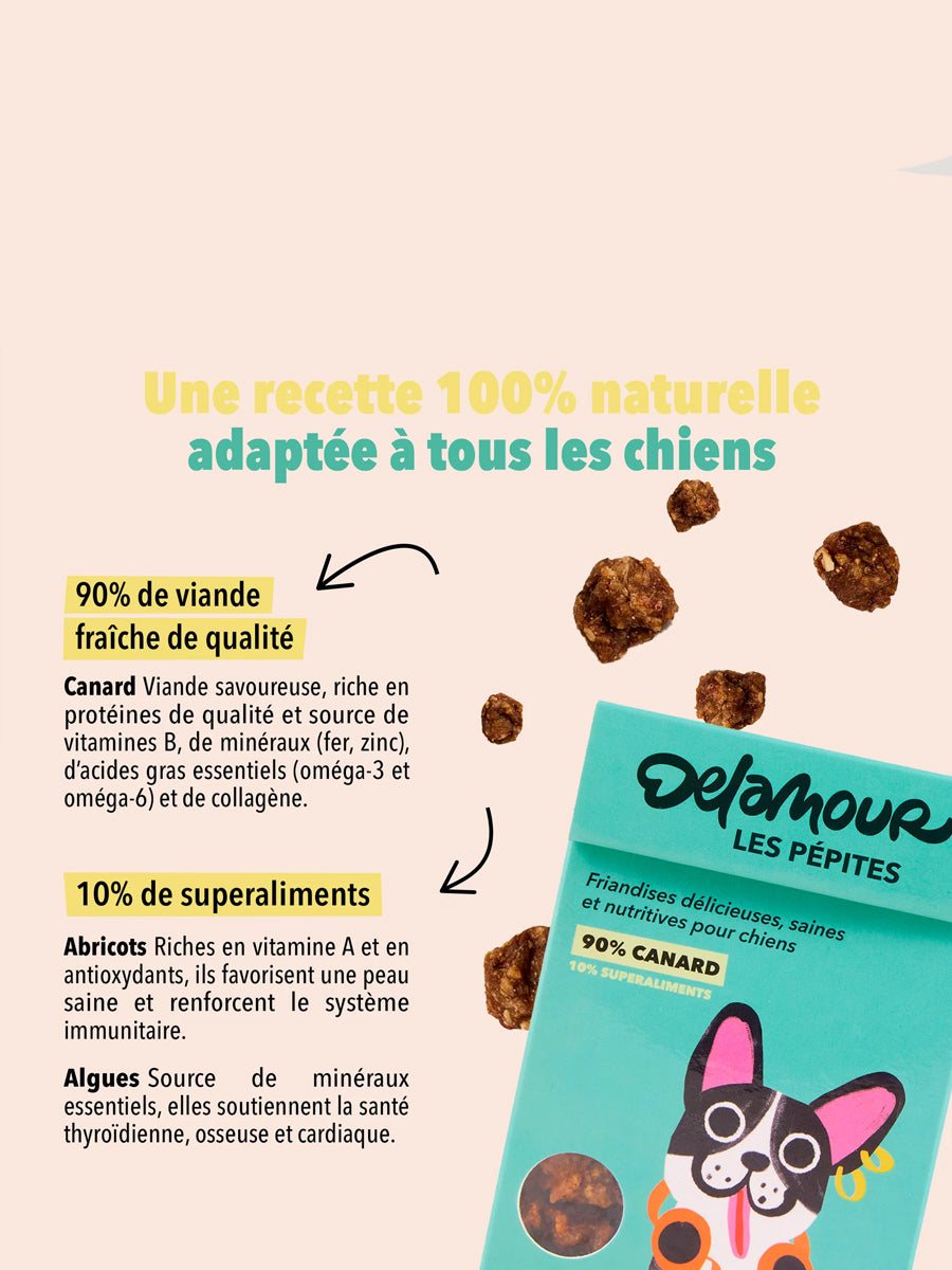 Delamour-friandise-premium-pour-chien-les-pepittes-canard
