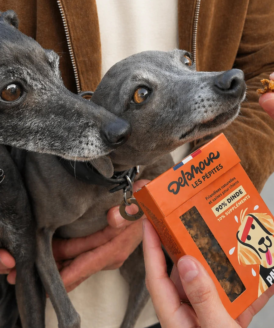 Delamour-friandise-premium-pour-chien-les-pepittes-dinde