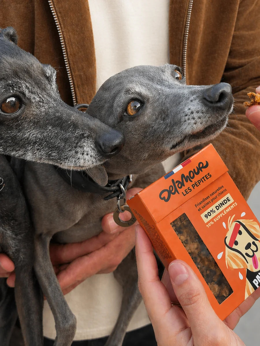 Delamour-friandise-premium-pour-chien-les-pepittes-dinde