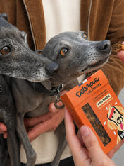 Delamour-friandise-premium-pour-chien-les-pepittes-dinde