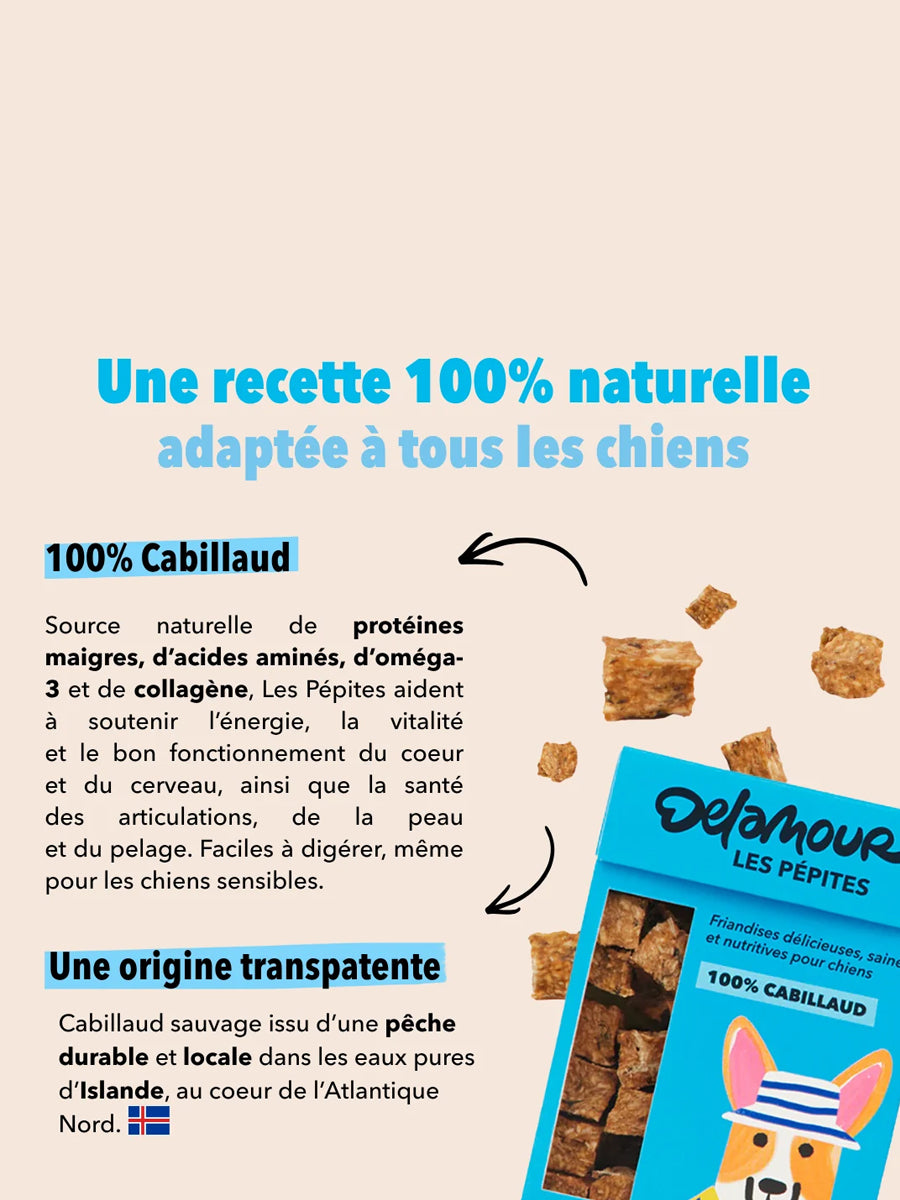 Delamour-friandise-premium-pour-chien-les-pepittes-poisson