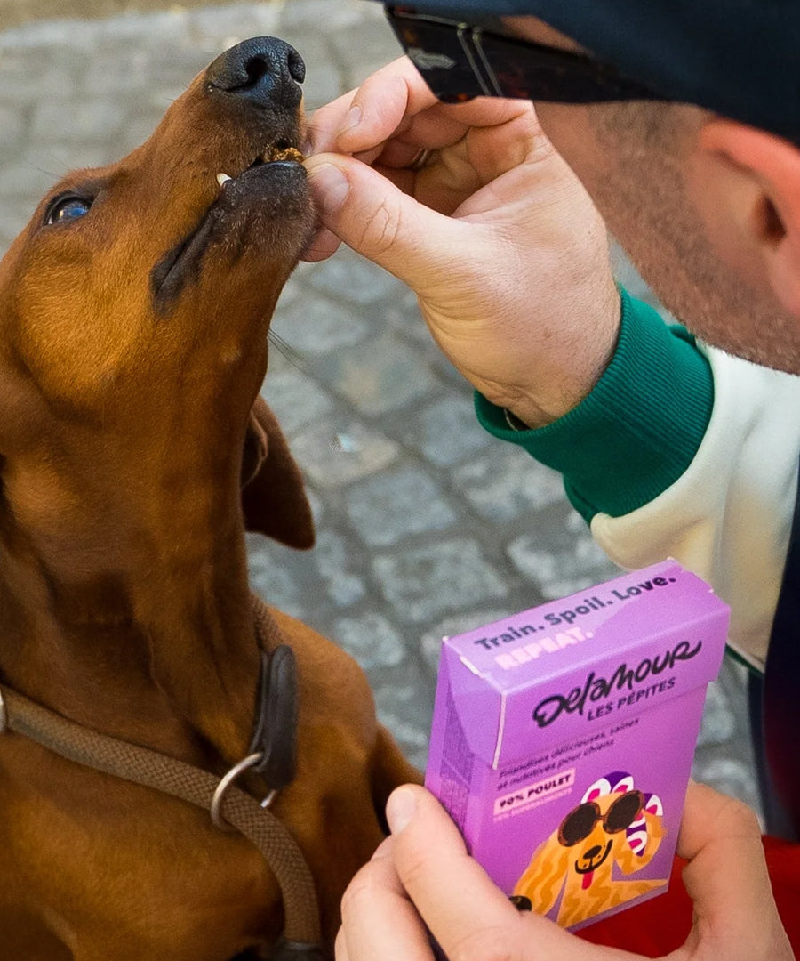 Delamour-friandise-premium-pour-chien-les-pepittes-poulet