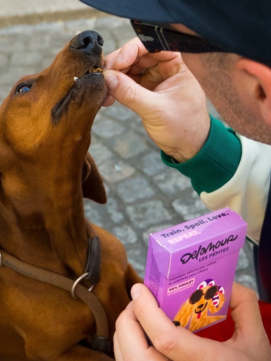 Delamour-friandise-premium-pour-chien-les-pepittes-poulet