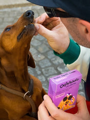 Delamour-friandise-premium-pour-chien-les-pepittes-poulet
