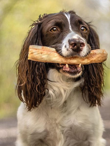 Earth-animal-friandises-naturelles-de-mastication-pour-chien-no-hide-cerf