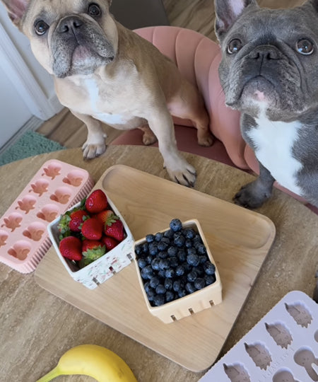 EmeryPets-moule-friandises-pour-chien