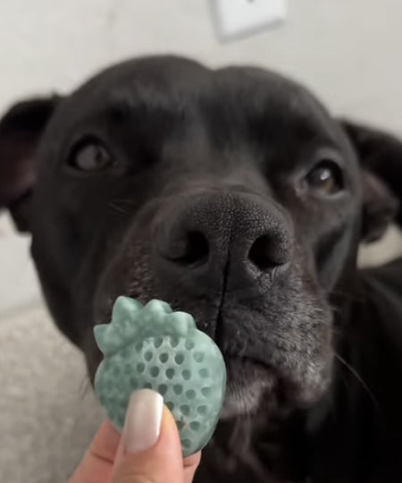 EmeryPets-moule-friandises-pour-chien-fraise