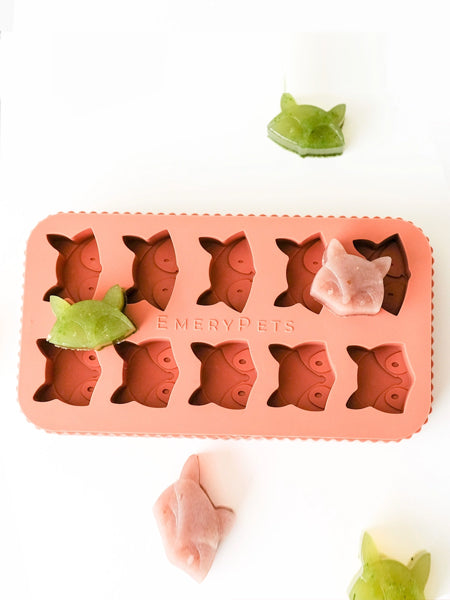EmeryPets-moule-friandises-pour-chien-renard