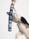     Fable-Pets-jouet-occupation-pour-grand-chien-Armadillo-large