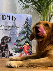 Fidelis-sanadog-calendrier-de-l-avent-pour-chien-chiot