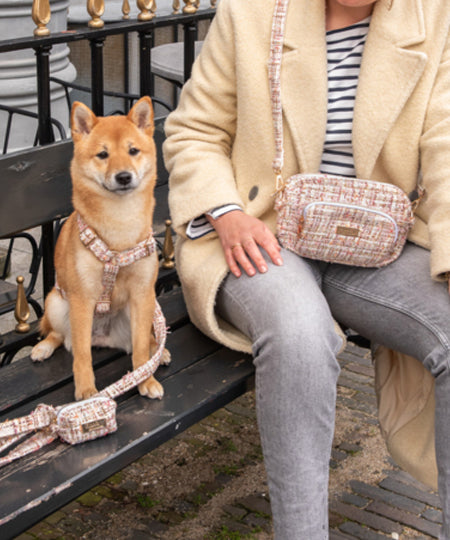 Floofs-and-Cookies-saccoches-dog-mom-chien-lima