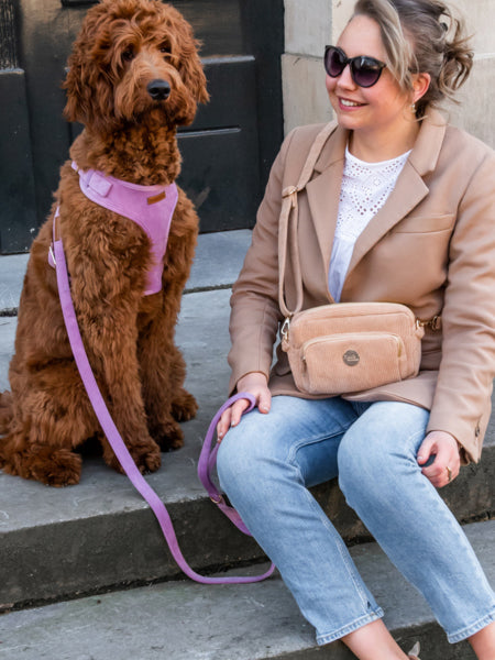 Floofs-and-Cookies-saccoches-dog-mom-chien-velour-beige