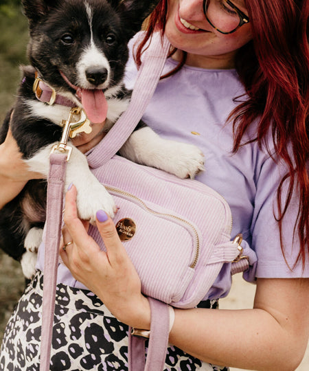  Analyzing image     Floofs-and-Cookies-saccoches-dog-mom-chien-velour-violet-lavende