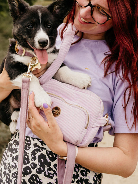  Analyzing image     Floofs-and-Cookies-saccoches-dog-mom-chien-velour-violet-lavende