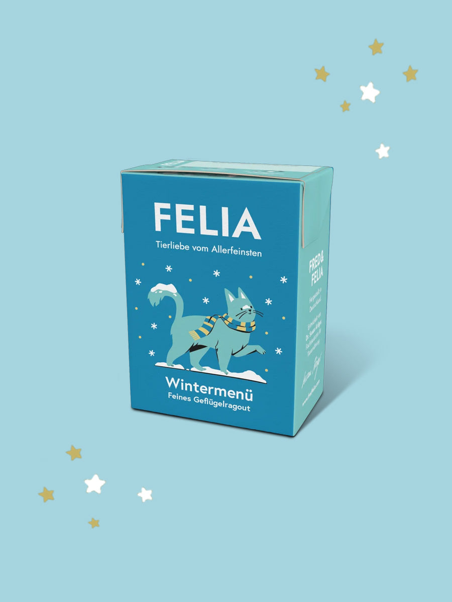 Fred-Felia-alimentation-naturelles-patee-saines-chat-noel-2026