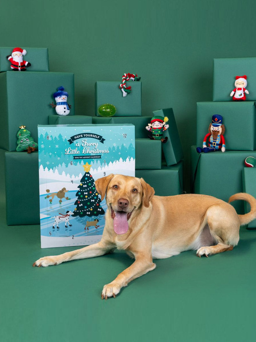 Fringe-petshop-calendrier-avent-pour-chien-xxl-peluche
