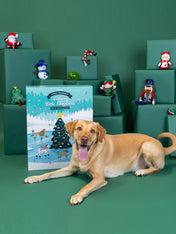 Fringe-petshop-calendrier-avent-pour-chien-xxl-peluche