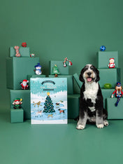 Fringe-petshop-calendrier-avent-pour-chien-xxl-peluche