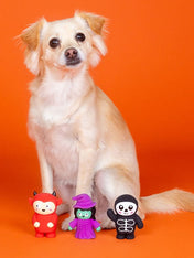 Fringe-petshop-jouet-latex-pour-chien-halloween-lot-de-3