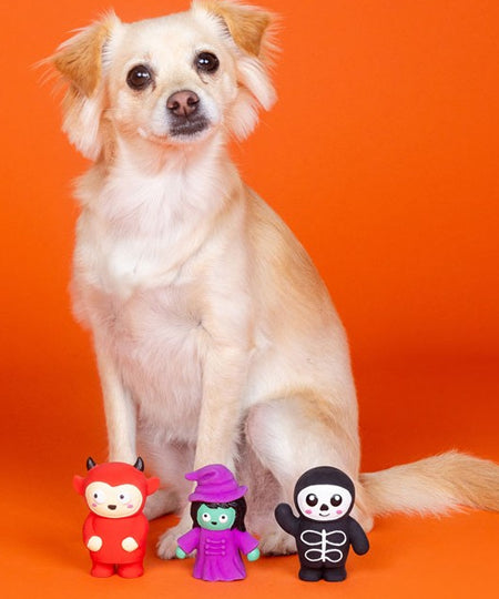 Fringe-petshop-jouet-latex-pour-chien-halloween-lot-de-3