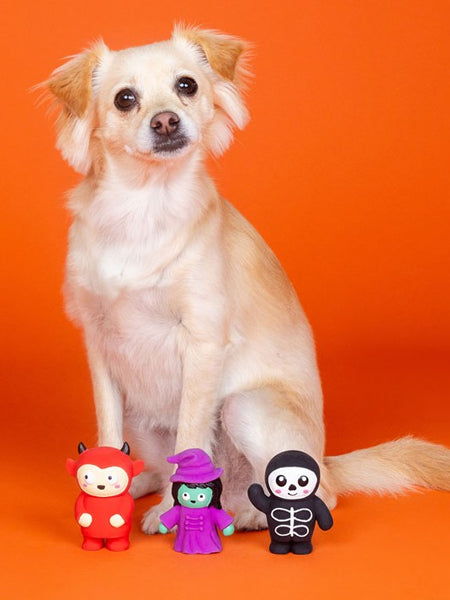 Fringe-petshop-jouet-latex-pour-chien-halloween-lot-de-3